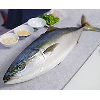 Cá Cam Nhật Bản-1Kg