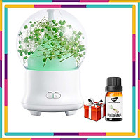 Máy Phun Tinh Dầu Mini Tú Cầu | Giúp Đuổi Muỗi, Xông Phòng Ngủ, Phòng Khách | Tặng Tinh Dầu Sả Chanh Kobi Nhập Khẩu Ấn Độ