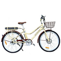 Xe đạp trợ lực điện cao cấp