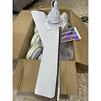 quạt trần mini cực mát bảo hành 1 năm