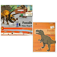 Combo All Story – Fossils – Hóa Thạch (Trình Độ 2 – Tập 9) (Bộ 2 Cuốn)