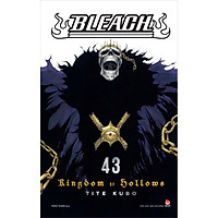Bleach - Tập 43: Kingdom Of Hollows