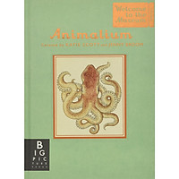 Animalium (mini gift edition)
