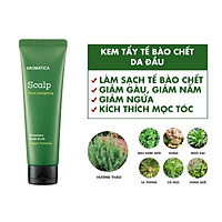 Kem tẩy tế bào chết da đầu chiết xuất hương thảo Aromatica Rosemary Scalp Scrub 165g