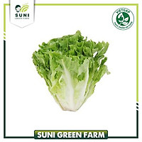 Xà lách Corol 300g