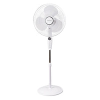 Quạt Đứng Lock&Lock ENF116 (60W) - Trắng - Hàng chính hãng