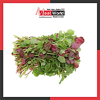 HCM - Rau dền Lam baby hữu cơ 250g - Biongon - Giao nhanh