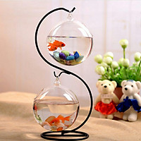Bể cá mini đôi hình chữ S 01