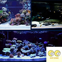 Cát thạch anh (1KG) Cát thạch anh lọc nước bể cá, nước sinh hoạt, trải nền, làm thác cát, trang trí bể cá, khử asen, tạp chất có trong nước ăn hàng ngày...