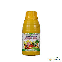 PHÂN BÓN BÓN VI LƯỢNG CÓ CHẤT ĐHST KINA-AMINO AMINO – MIX Chai 500ml