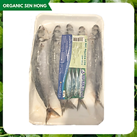 Cá Nục thuôn nguyên con HN 500gr (5-7 con)