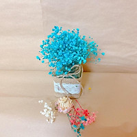 Lọ hoa baby khô ️ Lọ hoa khô decor nhà cửa, văn phòng, làm quà tặng...