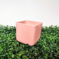 Chậu sứ hình vuông hiện đại, độc đáo, men lạnh trơn, trồng cây phong thủy, cây để bàn siêu sang