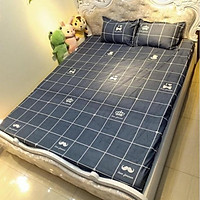 Combo Ga giường và 2 vỏ gối cotton Poly bộ ga trải giường thun drap chun nhiều mẫu lựa chọn
