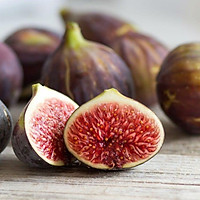 Cây sung mỹ, cây sung mỹ đang quả, quả cực ngon