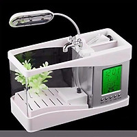 Bể Cá Mini Hồ Cá Cảnh Mini Kiêm Đồ Hồ Để Bàn Siêu Đẹp (Tặng Kèm Đá Và Cây Cảnh)