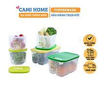 Bộ Hộp Trữ Mát Rau Củ Ventsmart 5 Tupperware, Hộp Có Nút Hô Hấp Giúp Trái Cây Tươi Lâu Hơn, Hộp Biết Thở
