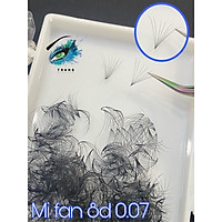 8D 0.07 - Lông Mi Fan Sẵn 8D 0.07 C Cc D chân keo nhỏ, siêu ăn keo, fan xoè, có mix size