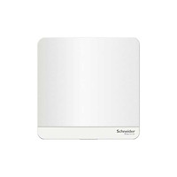 Mặt che trơn- Schneider Electric - E8330X-WD-G19