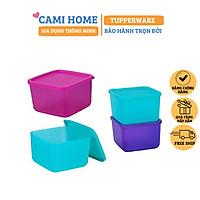 Bộ Hộp Bảo Quản Thực Phẩm Small Summer Fresh Bốn Hộp Tupperware, Hộp Trữ Khô, Nhựa Nguyên Sinh An Toàn