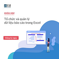 Khóa học Tổ chức và quản lý dữ liệu báo cáo trong Excel