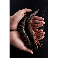 Tôm sú OXY tự nhiên NIDTICO-Đông IQF (51-60con/kg)