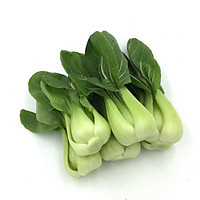 Cải chíp 500GR