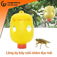 Bẫy ruồi vàng đục trái, đốt lá làm thối quả