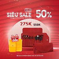 BỘ CỌ CÁ NHÂN NÂNG CAO VACOSI ADVANCED BRUSH SET - BC25