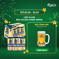 Lốc 6 lon bia Halida 330ml