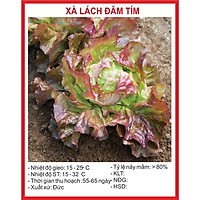Hạt Giống Xà Lách Đăm tím 0.2gr