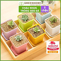 Bộ 10 Chậu nhựa trồng sen đá ,xương rồng, 7x7cm, màu sắc hiện đại