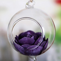 Bình Hoa Thủy Tinh Treo Tường Trong Suốt