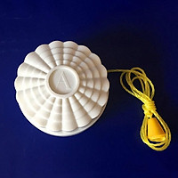 Công tắc giật dây