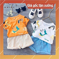Set Quần áo cộc tay mùa hè họa tiết khủng long cho bé trai năng động