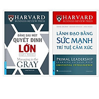 Sách - Combo Đằng sau 1 quyết định lớn + Lãnh đạo bằng sức mạnh trí tuệ cảm xúc - FirstNews