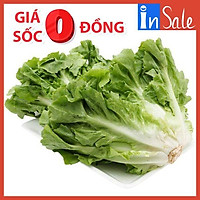 Xà Lách Carol Đà Lạt (1kg)