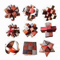 Wooden Brain Teaser Wooden Puzzles 9pcs IQ Test Toy 3D Wooden Toys for Kids Adults
