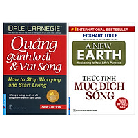 Combo Thức Tỉnh Mục Đích Sống (Tái Bản) + Quẳng Gánh Lo Đi Và Vui Sống (2 Cuốn)