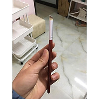 Cọ Ombre..