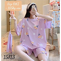 15713 Đồ Bộ short BIG SIZE họa tiết B o n g B ó n g SS-DAI