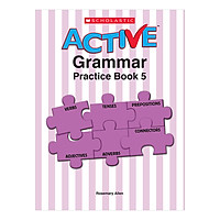Active Grammar Practice Book 5
