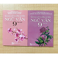 Combo Củng cố và ôn luyện ngữ văn 9 (trọn bộ 2 tập)