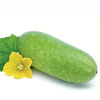 Bí Đao, Bí Xanh ( quả 450g- 500g) - Rau củ quả tươi sạch, rau xanh Đà Lạt (quả 450g-550g)