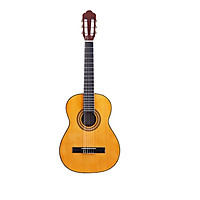 Đàn guitar Acoustic TONIC-SD05 Cho bạn mới tập chơi