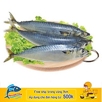 Cá nục làm sạch _ Gói 500g