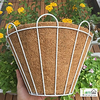 Chậu xơ dừa Taman Home, chậu trồng cây áp tường, chậu ốp tường, chậu treo tường
