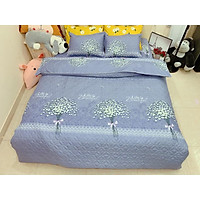 BỘ CHĂN GA GỐI CHẦN BÔNG 5 MÓN - PTB01 ( GA PHỦ)