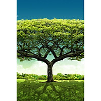 Giấy dán tường - T50B