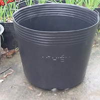 COMBO 50 Chậu nhựa trồng cây C9A 23x18x17 -77104